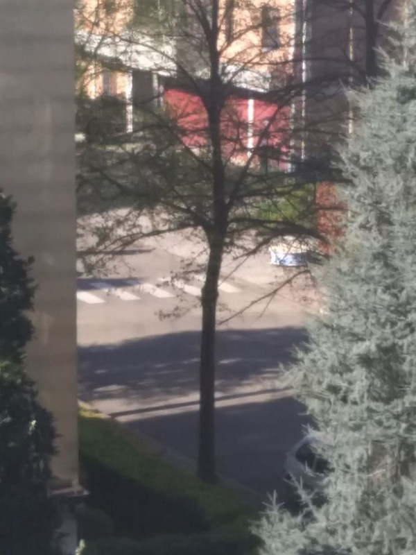 92829441_10217394334585516_7443836579245719552_o