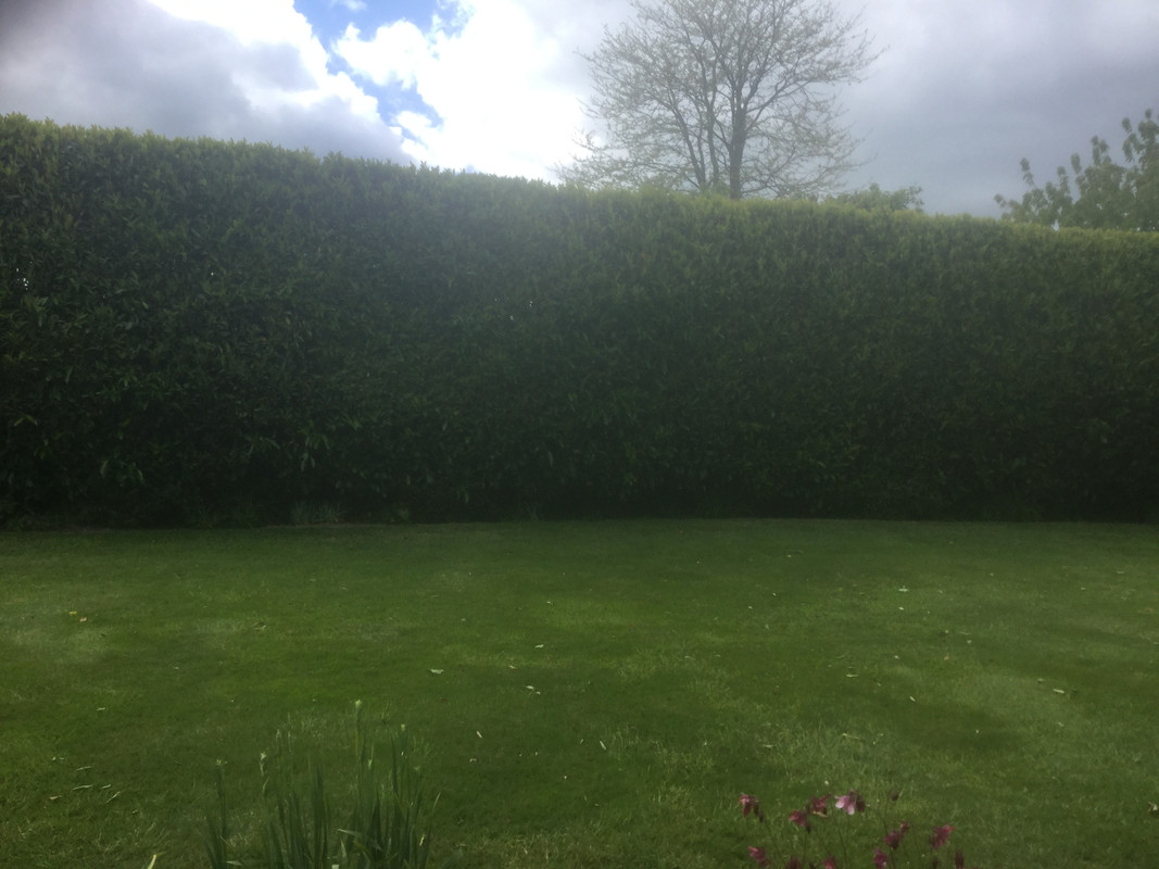 BAF81090-A2E0-477E-8D9D-20A6155E739D