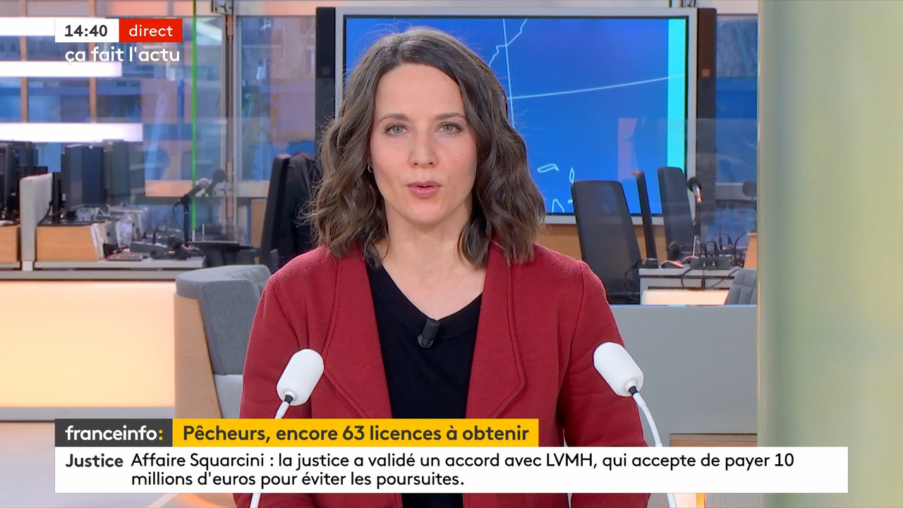 12.17 - 12.59.00 - Le fil info 14h-17h. Au sommaire   Vrai ou fake. -....ts_snapshot_44.47.536