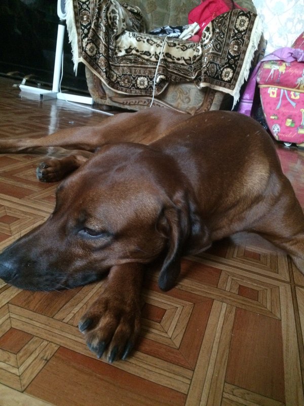 image-0-02-01-2d2a5112208a45eed1ca1a2b508aa8fbe1