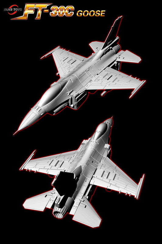 FT-30C-Goose-04