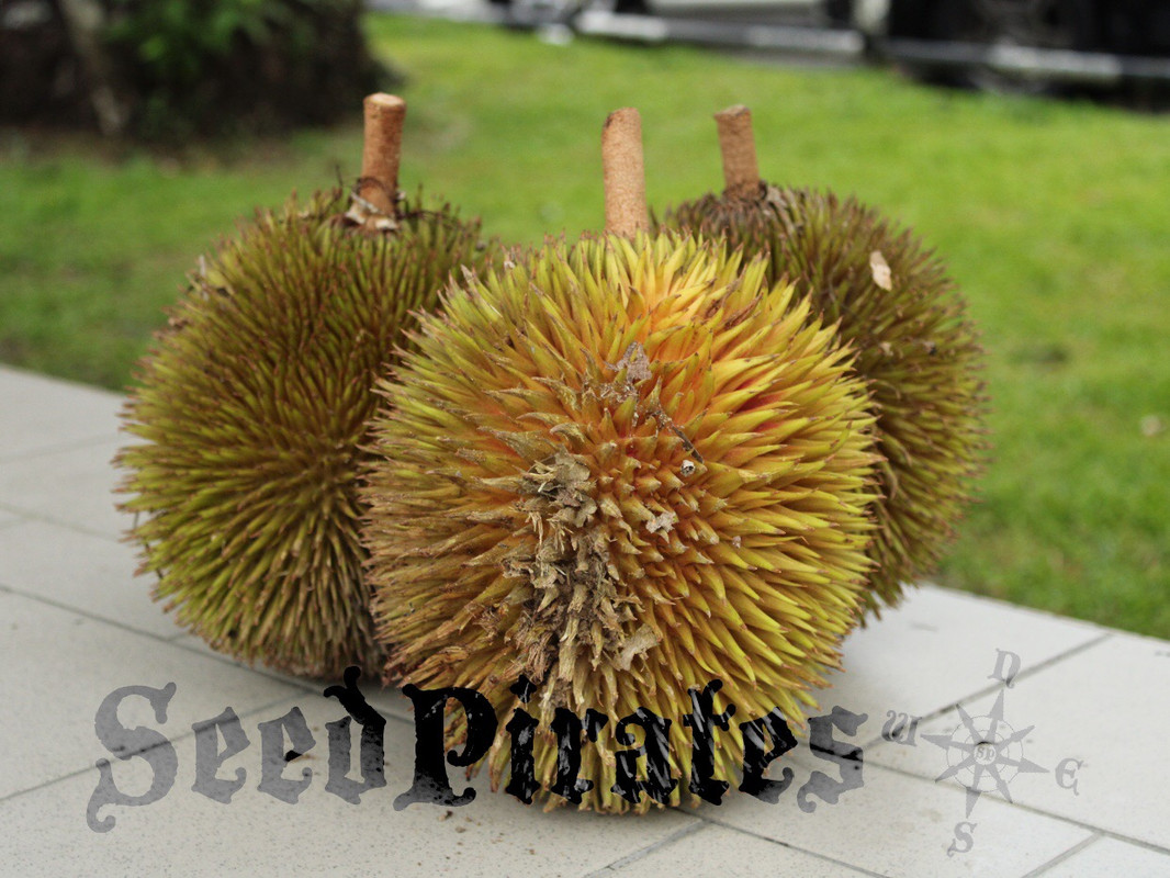 62DE4ABE-2F1A-45BE-9BDE-D87859E82428