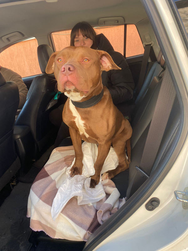 3CCCF6AD-FC15-41D5-9C91-3C681645380C