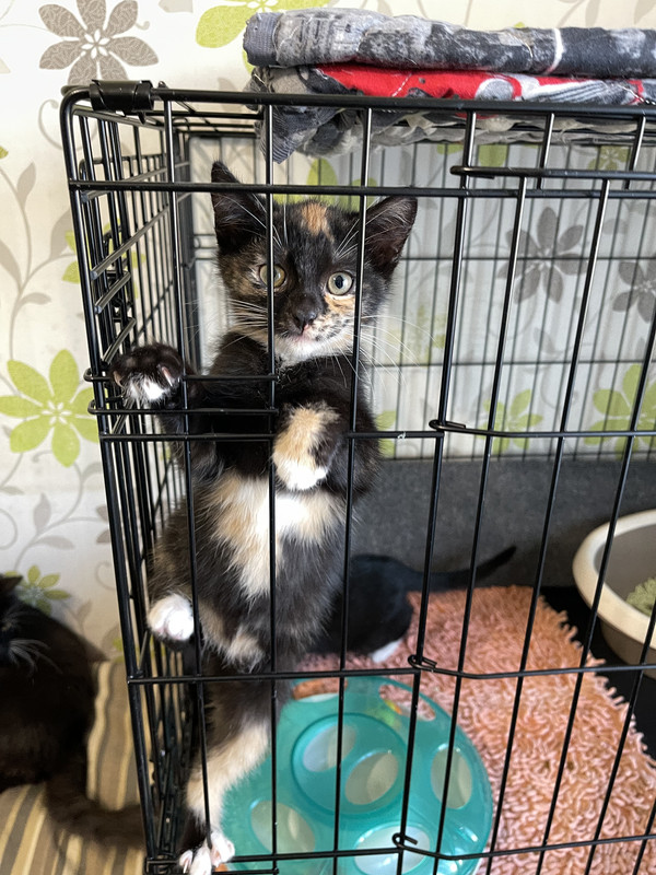 AC8518E6-707F-4C06-AEBB-37CF949637C8