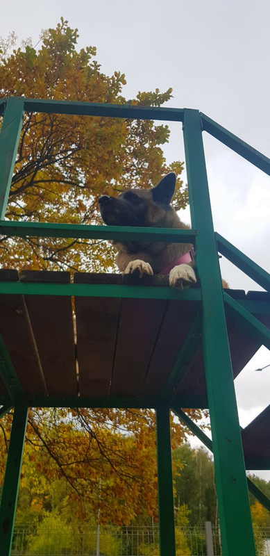 34CBF36E-2997-4507-8997-56BD5BA2F94E