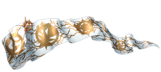 https://i.postimg.cc/1zh8gvjw/drapeau-garde.png