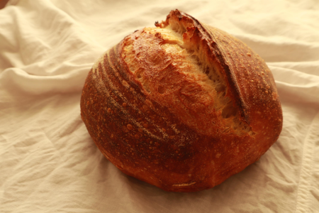 Sourdough Baking 101: Master Sourdough Breads at Home