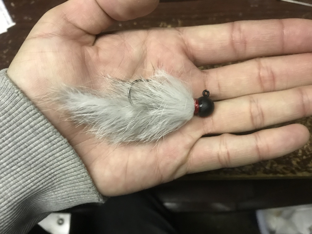 5D290D5B-4471-487B-ABD7-37F648A6B47D