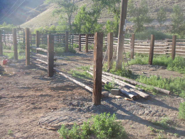 P7022024
