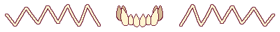 bottom teeth