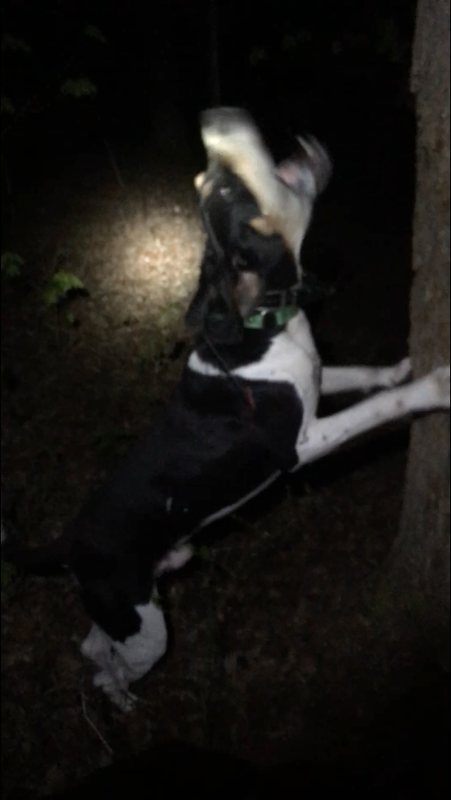 67733D24-59CD-4141-A6BD-A6B0C041F644