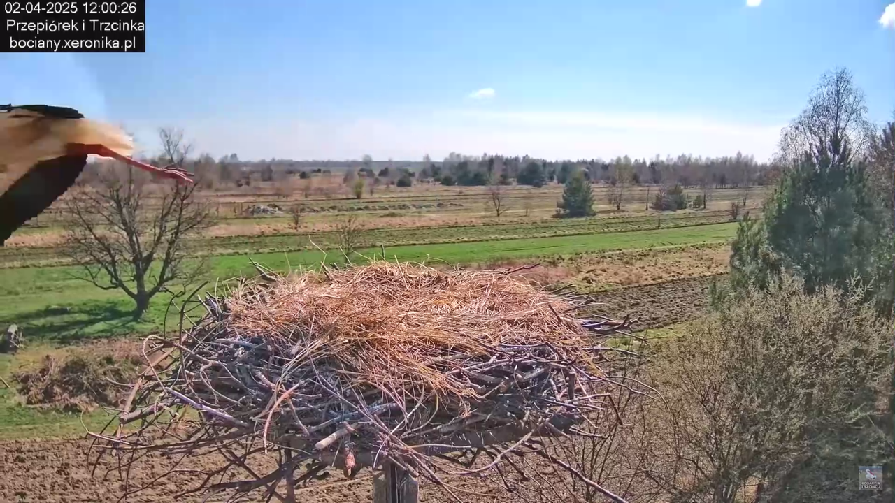 02042025krotkawizytabocka_36