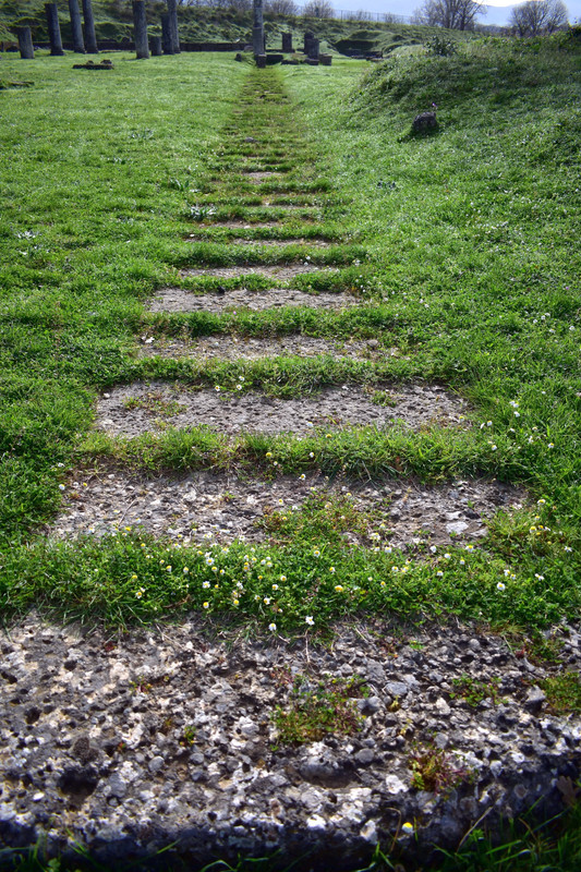 Αρχαία Μεγαλόπολη (28)