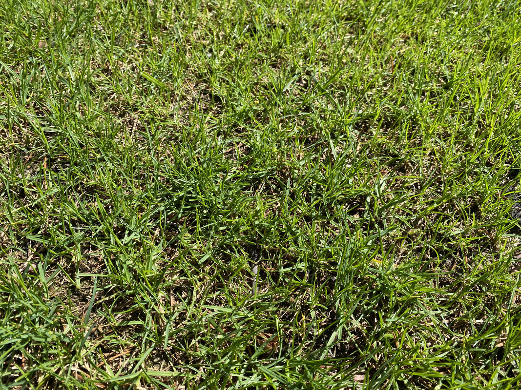 803CF8E7-6630-4B84-BCA9-69469C71A46C