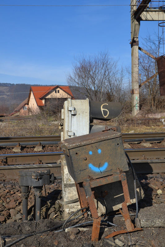DSC_7623