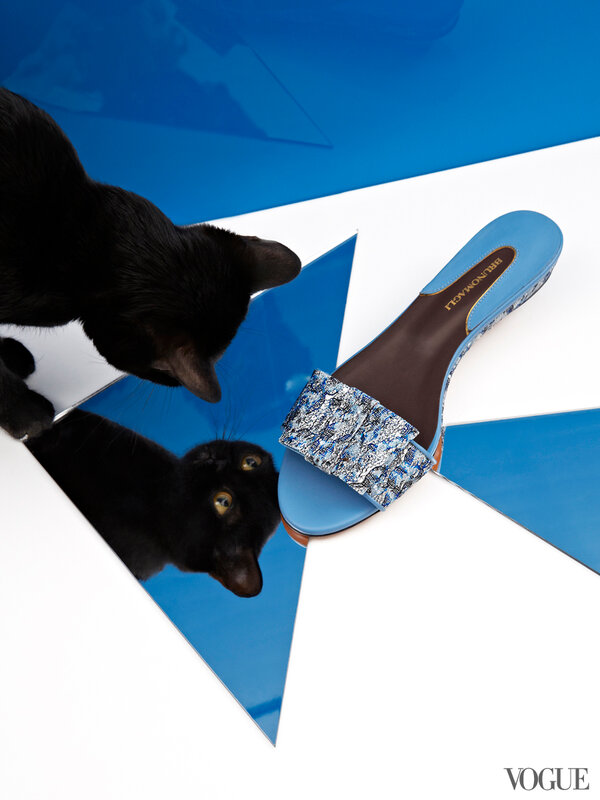 cats-kittens-flats-shoes-26-161909790805