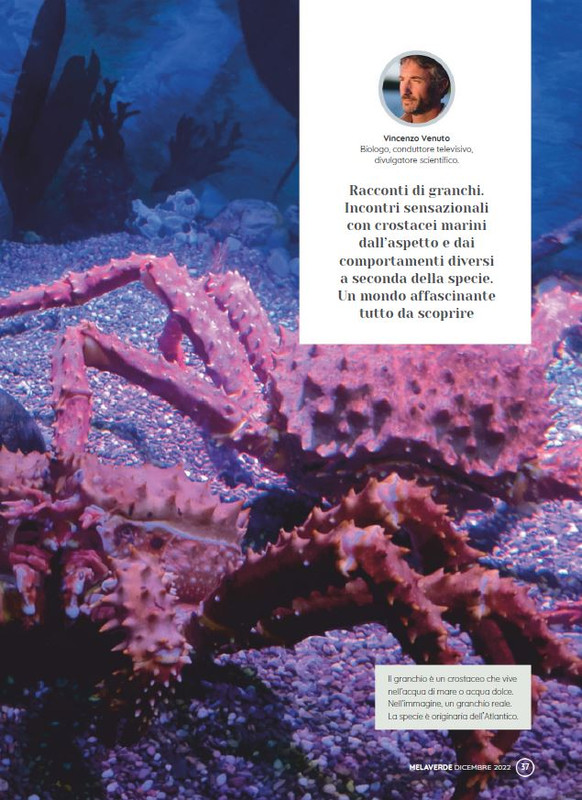 melaverde Dic 2022 (4)