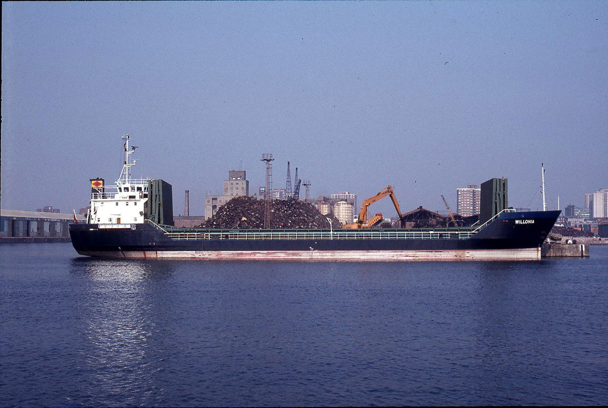 WILLONIA  (4276a)[GC1](GBR-1984)(0 May 1984-Liverpool-Alexandra-Gbr)(8213407)(© David Williams)