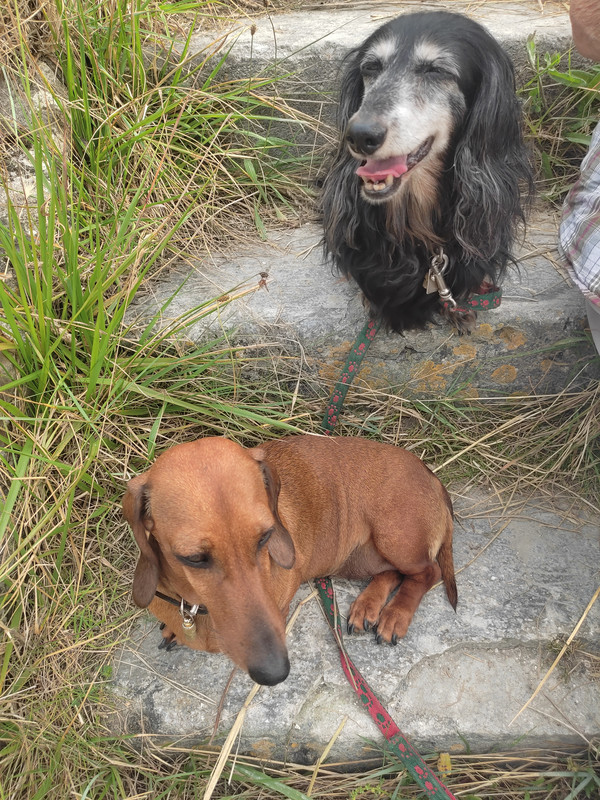 [Image: IMG-20240720-185713.jpg]