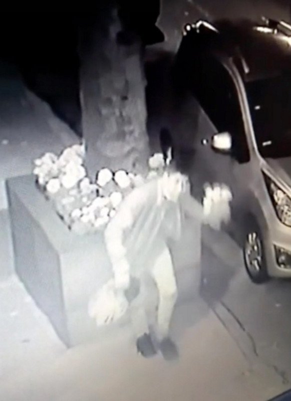 Roban las cempasúchil de jardinera, video de seguridad capta todo