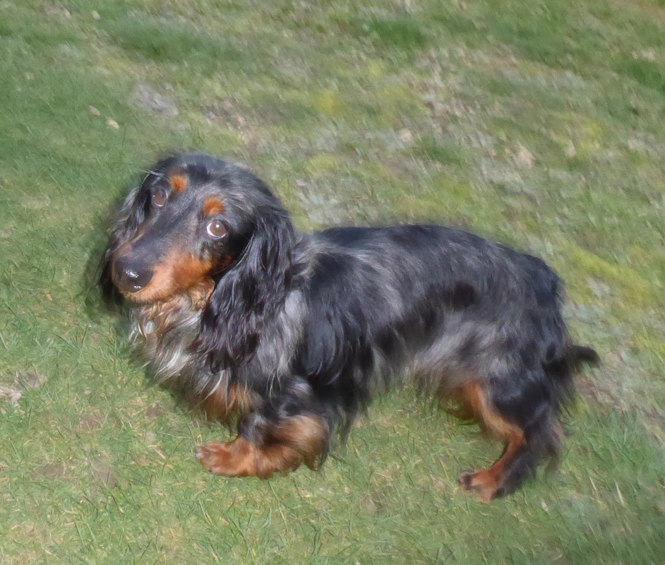 [Image: P1020016.jpg]