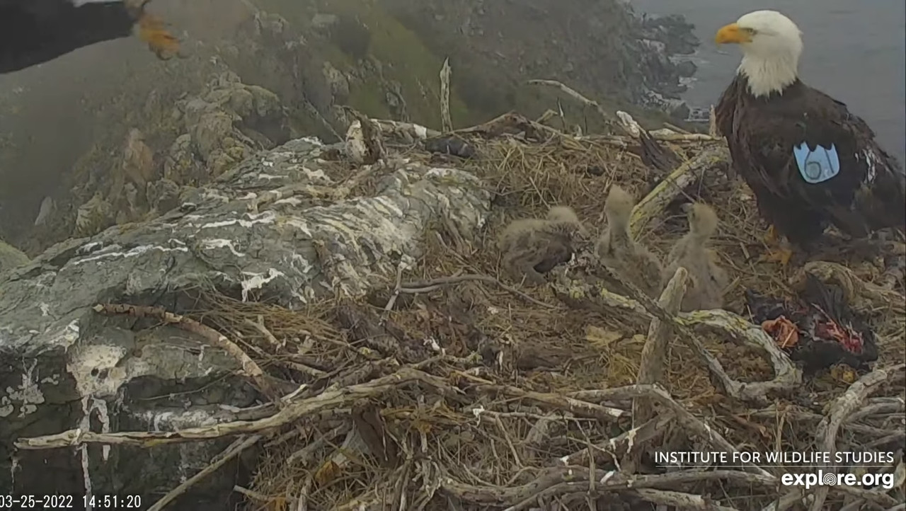 ACCF943B-2A39-49B3-9731-476ADC25DF9A