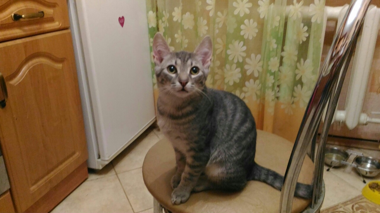 image-0-02-01-110725406227eb6fb7c56af27a82ef394f