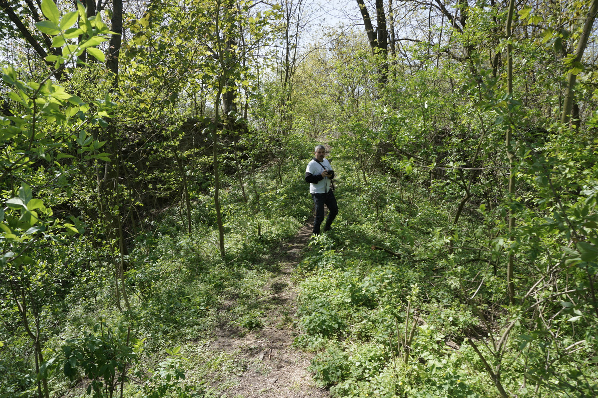 20.02 - DSC07989 (zbychowiec)