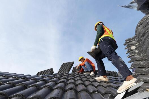 Professional Roofing Service