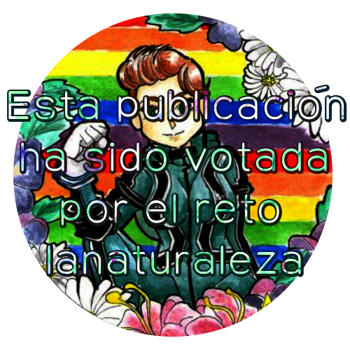 coment.png