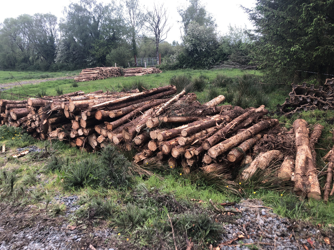 6D56C2E1-CFF3-478C-9585-2B869A68BAD1