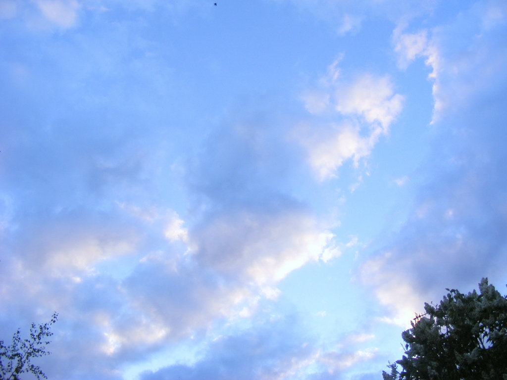 DSCF8376-zps7muc0pcx-jpg-original.jpg