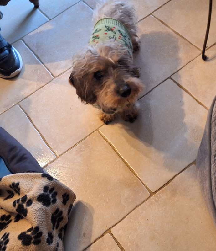 [Image: 20250101-152138.jpg]