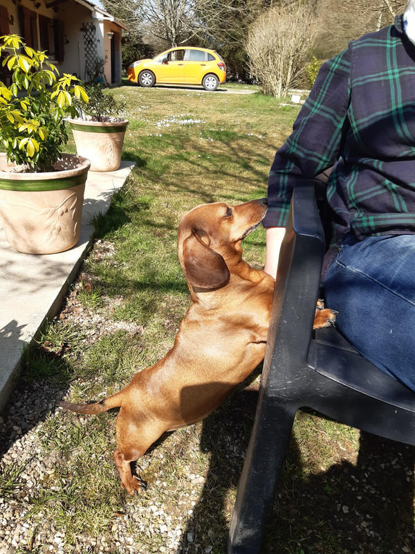 [Image: 20220324-142655.jpg]