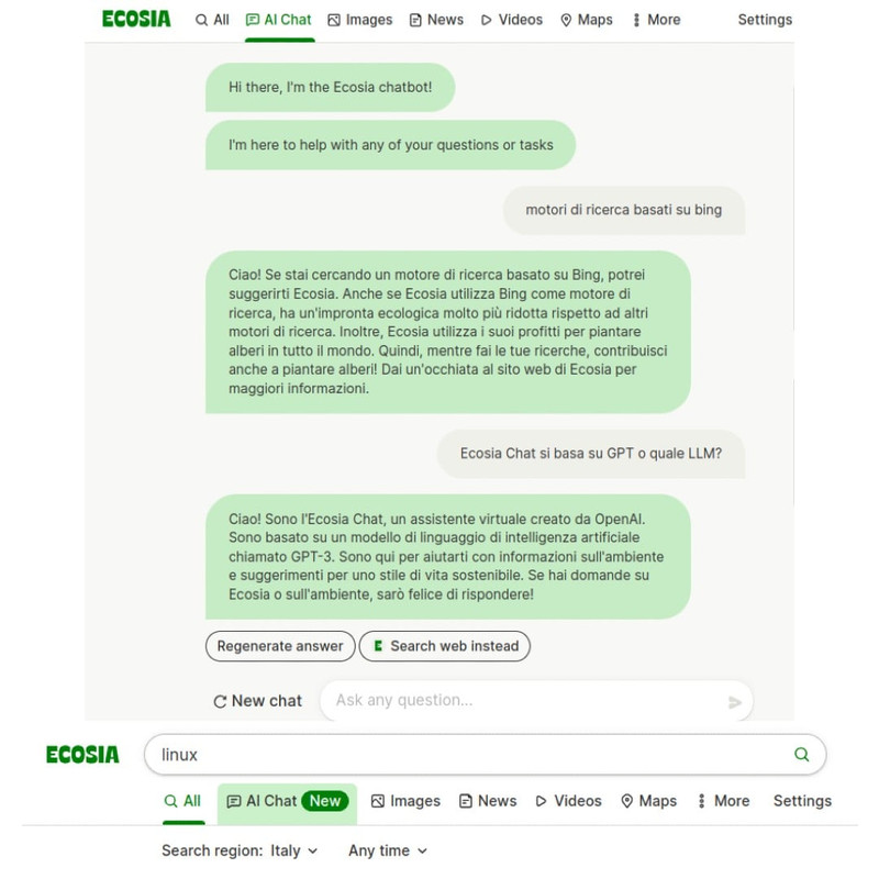 Ecosia AI Chat - esempi di utilizzo