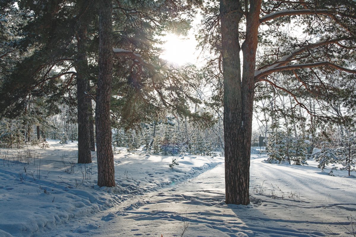 IMG_1478_DxO.tif (RGB)