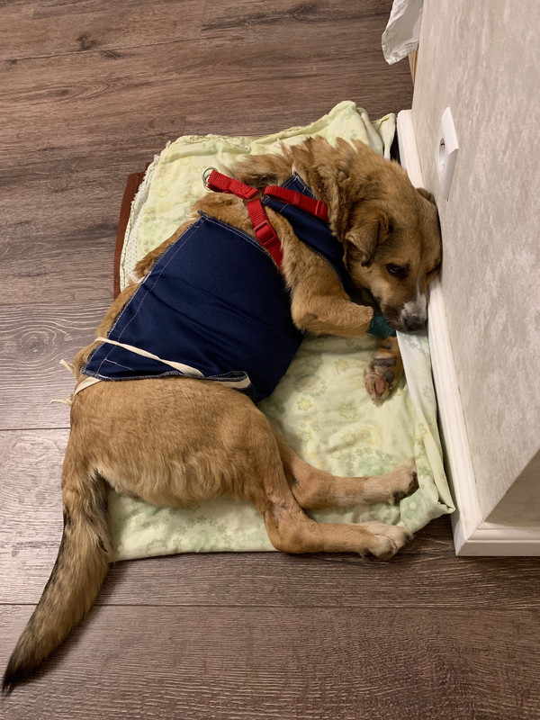 BAEAB467-CE9F-4DBB-88FB-A8D98691D468