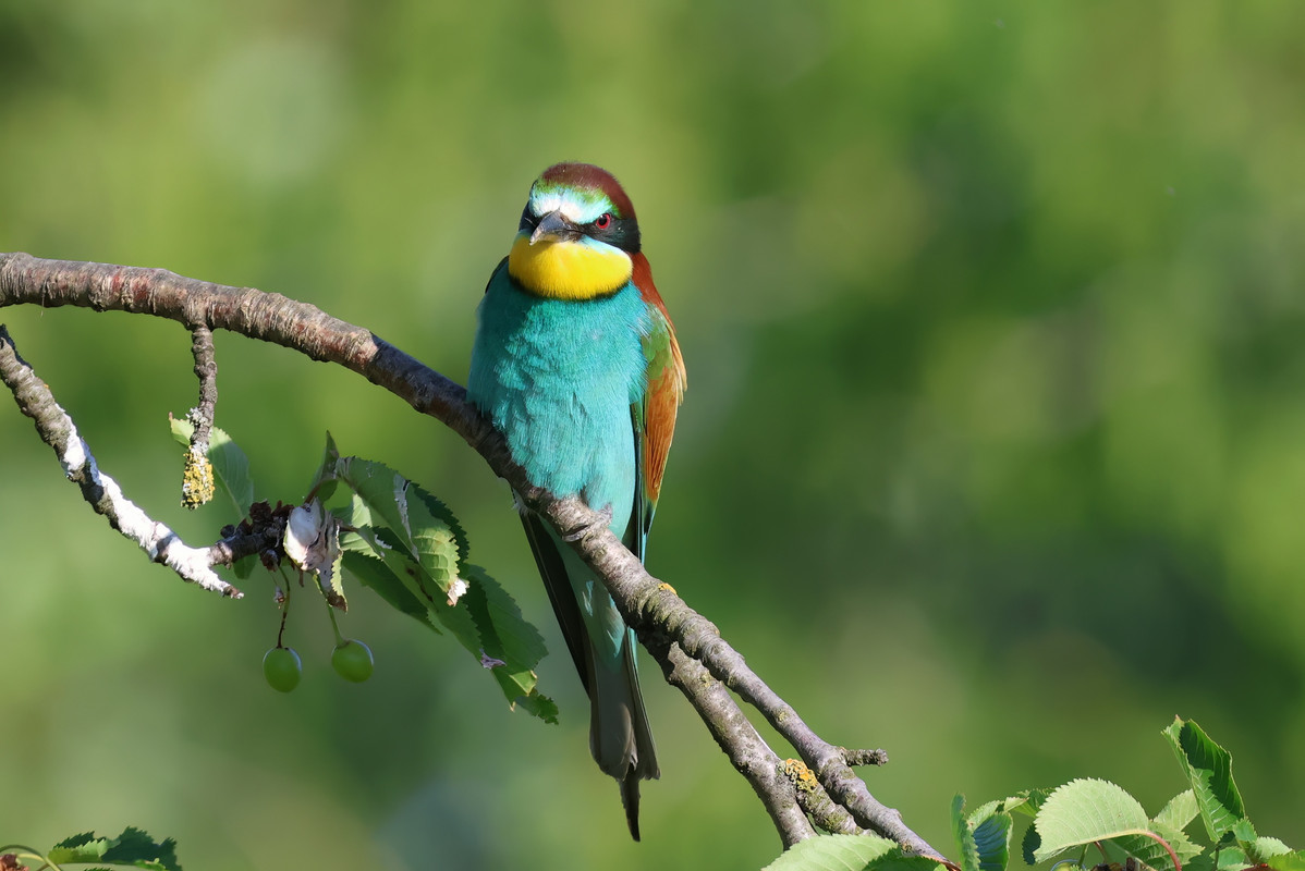 5E3A6707-topaz-denoise-sharpen