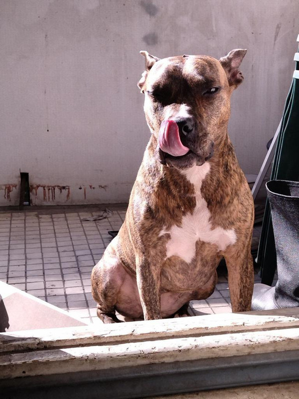 3D4CB3E2-878E-4B9F-9748-BD7563521A39