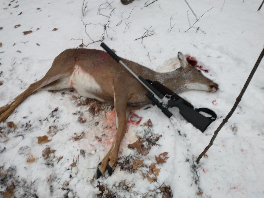 IMG_20211113_165450246