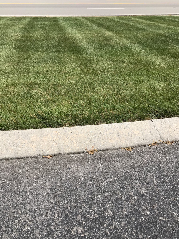 0C25BC3A-F476-4D83-B482-CCE2551C4A6E