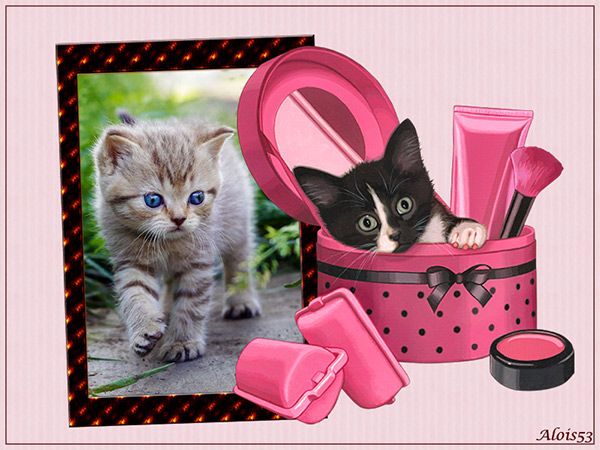 2kittens-in-sminkpot