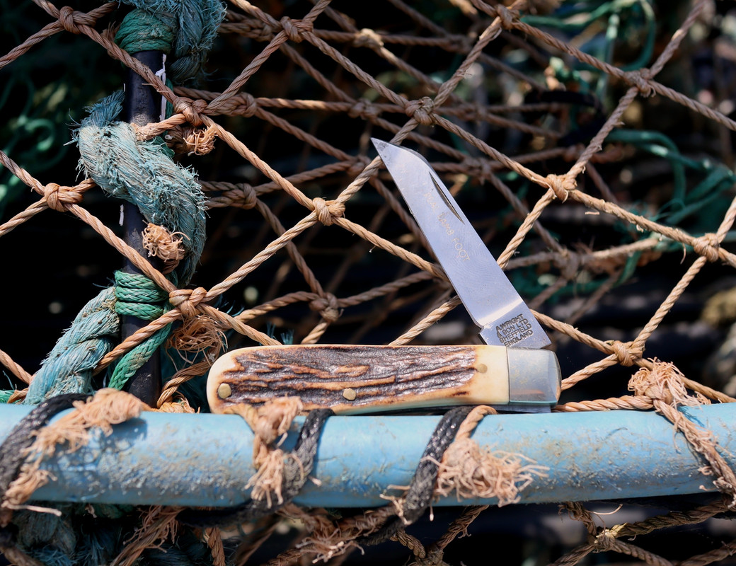 AW Small Sambar LF (2) 18-1