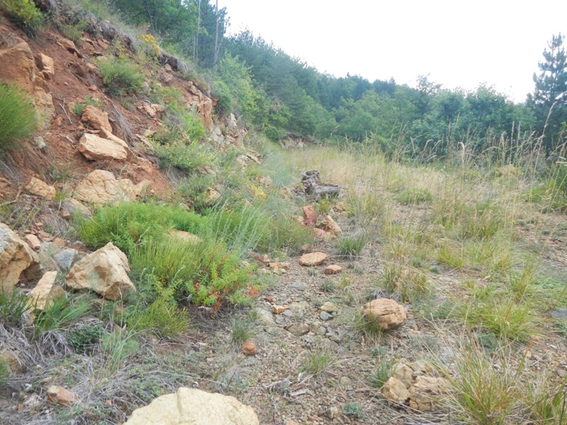 Zlatibor juli 2013 (64)