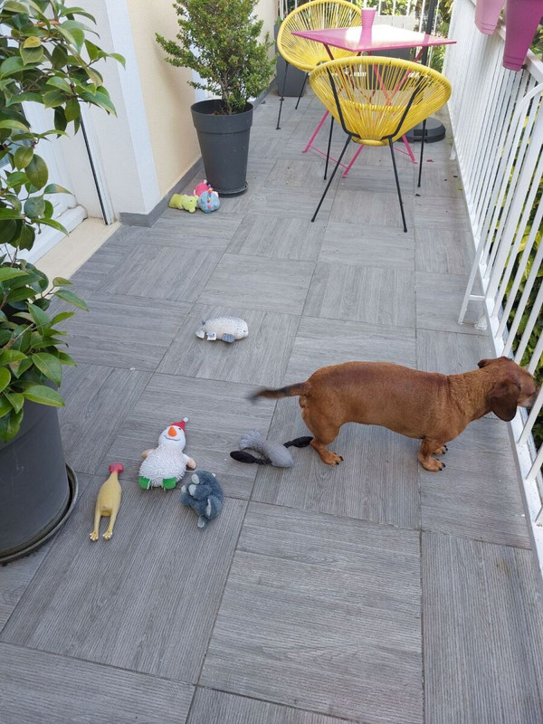 [Image: image000000-290.jpg]