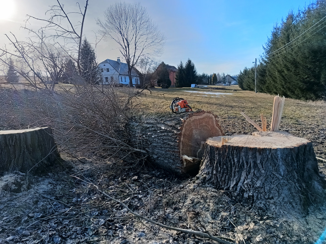 IMG_20250304_153831695_HDR