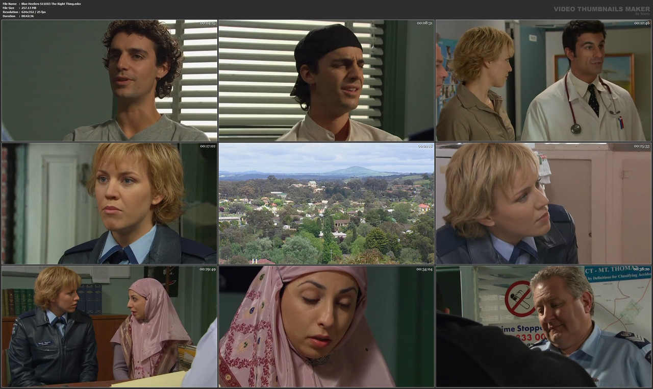 Blue Heelers S11E03 The Right Thing.mkv