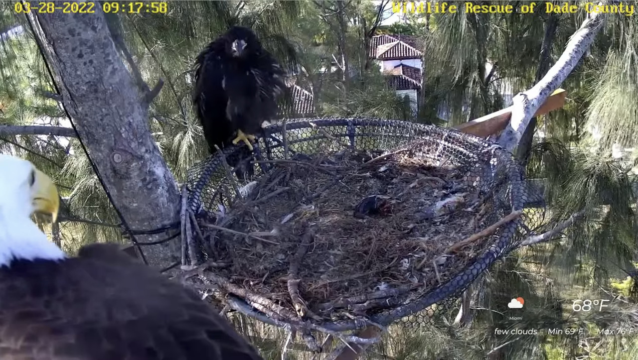 5BD9ED4B-43B4-4D03-881A-ED06F2D42D38