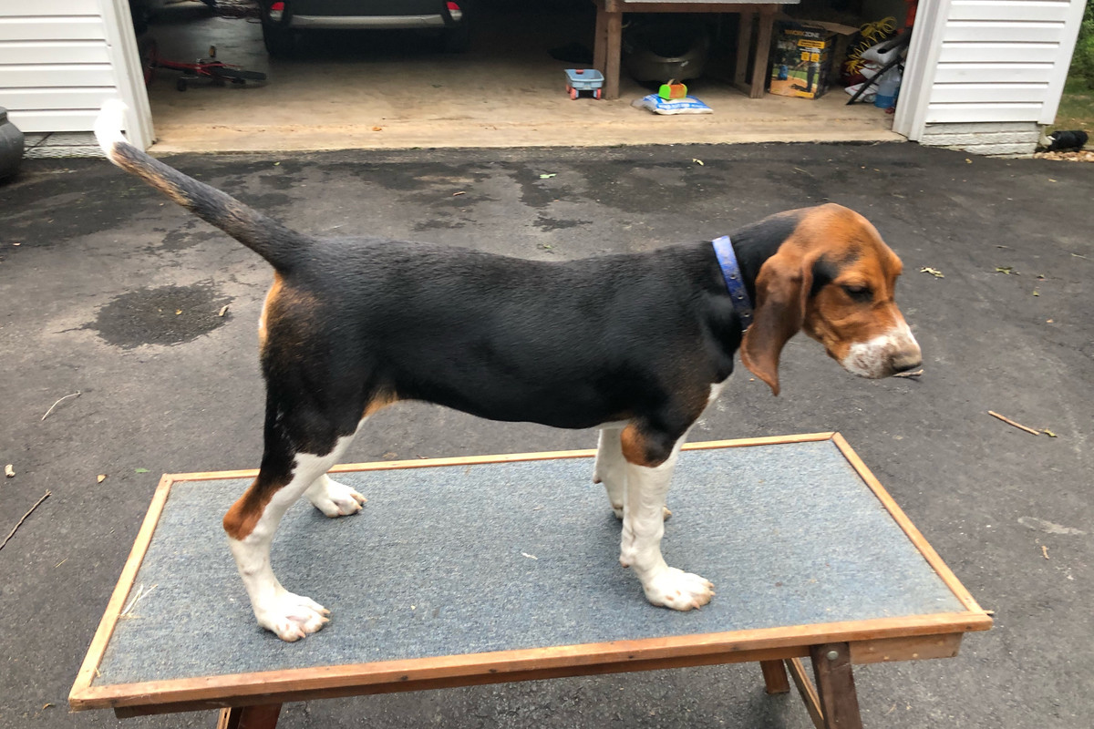 56A8016D-083F-4A0A-BB01-B2E3B77A7BCA