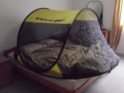 Bedbug-Tent11-400x300.jpg